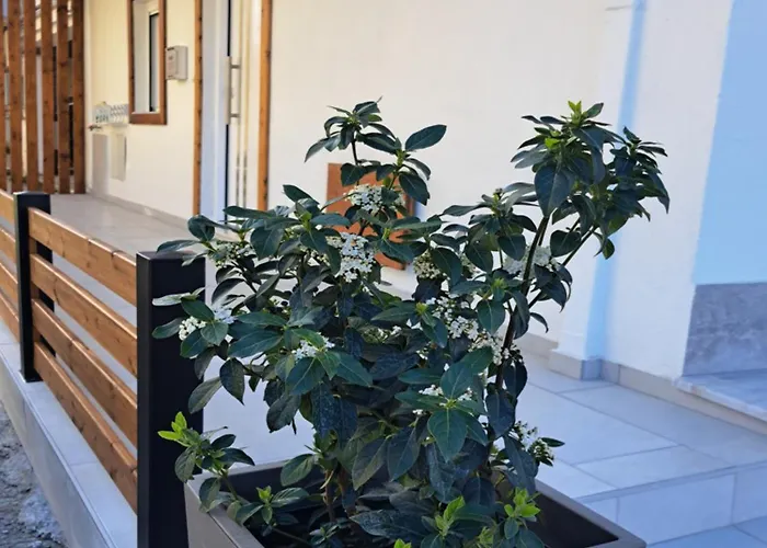 Ithaca σπίτι με αυτόνομη είσοδο Apartman *