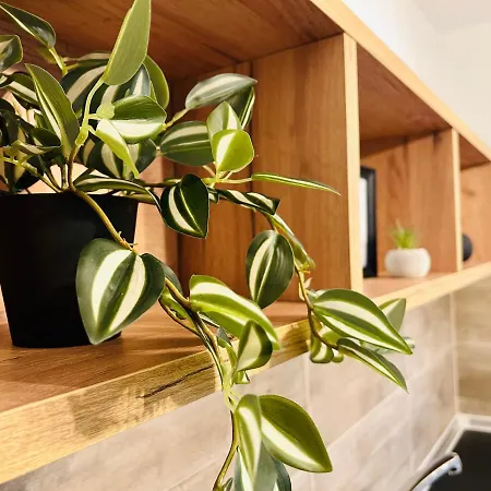 Ithaca σπίτι με αυτόνομη είσοδο Apartamento *