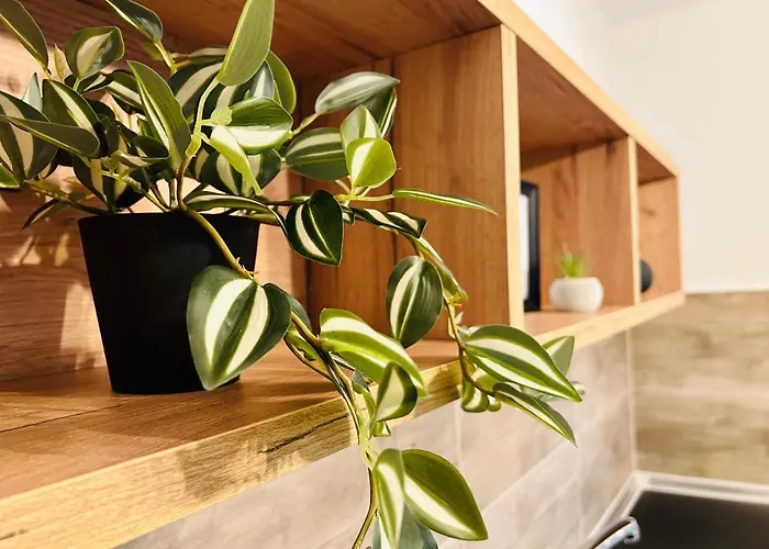 Ithaca σπίτι με αυτόνομη είσοδο Apartment *